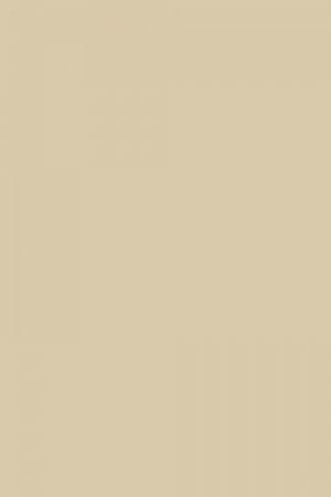 FARROW AND BALL STONY GROUND NO. 211 PAINT